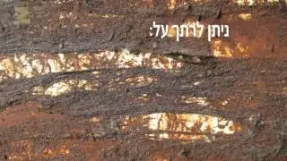 זיקה - אלקטרודה Z26