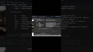 Bug Bounty Recon Using Katana, Subfinder,  