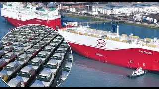 BYD Takes the Lead: China's EV Giant Overtakes Tesla in Global Sales