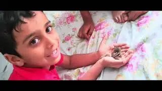 Gillu 🐿️ Squirrel || His Cute Life Story That Will Melt Your Heart 