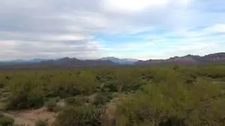 DJI Phantom 4 fly over cactus