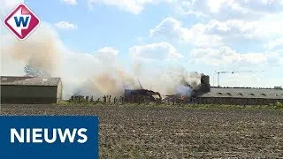 Koeien vechten voor hun leven na brand bij boerderij