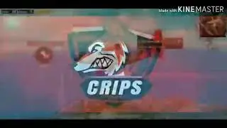 Crips Esports highlights #CRPMarcolino #Crips #PubgMobile