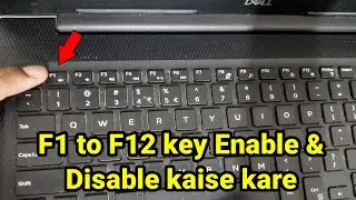 How to enable and disable F1 to F12 key in dell laptop (Hindi)