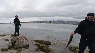 SF BAY AREA STRIPED BASS: EP. 1