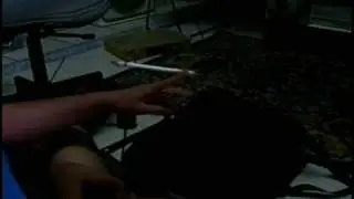 BRPSB COLLAB DE NATAL