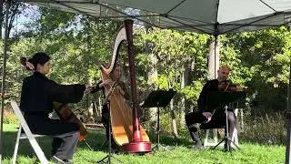 Traditional Wedding March Recessional by Mendelssohn, harp trio ~ Tiffany Jones, harpist