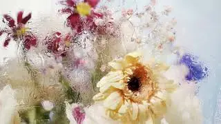 1 HOUR RELAXING PIANO SOLO WITH BEAUTIFUL ART BACKGROUND, painting, studying, reading