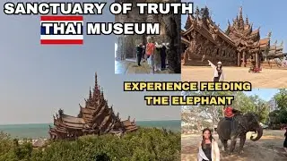 Magical Visit to the Sanctuary of Truth 🇹🇭 | Elephant Feeding