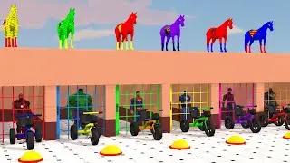 Long slide game with Horses 3d Animal Game Funny 3d Animals