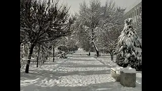 Morning walk