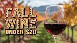 $20 Fall Wines That Taste Like They Cost $50