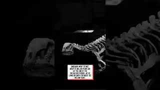 When did dinosaurs go extinct? #shorts #dinosaur #dinosaurs #fossil