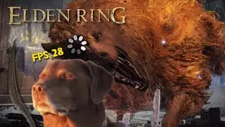 Radagon's Wolf of LAG and DOOM.. (first time Soulsborne player)