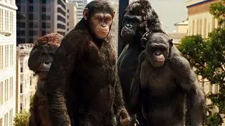 Bipedal primates