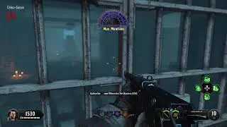 COD BLACK OPS 4 AFTERLIFE SHIELD TUTORIAL BLOOD OF THE DEAD