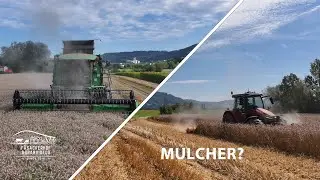 Weizenernte 2024 eine Katastrophe? FarmVlog#40