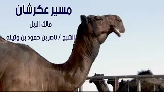 مسيرة فحول | الشيخ / ناصر بن حمود بن وثيـله ( عكرشان 2014 م )