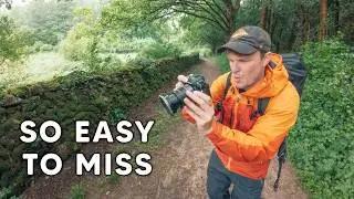 Most Photographers Walk STRAIGHT PAST These Images