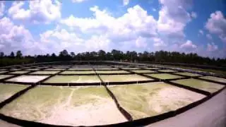 PetroAlgae -A leading renewable energy company