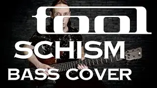 Tool - Schism (bass cover)
