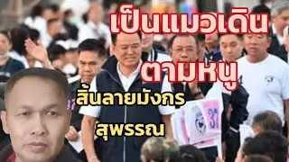 3/2/69 เป็นแมวเดินตามหนู ซิ่นลายมังกรสุพรรณ