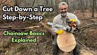 How to Cut Down a Tree with a Chainsaw | Step-by-Step Felling & Cutting Guide