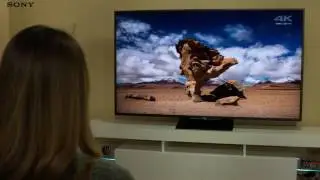 T&eacute;l&eacute;viseurs UHD 4K Sony ZD9