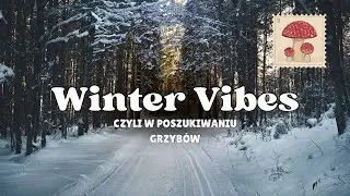 Winter Vibes ❄️🌲 | Zimowy las, cisza i białoporek brzozowy #winter #nature #wildlife 