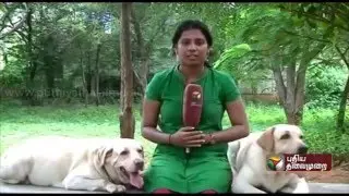 Special report: Trichy sniffer dog 'Tiger' wins gold medal
