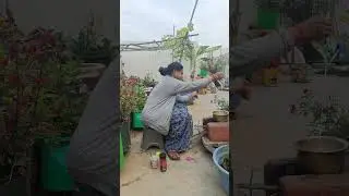 Our happiness is in our hands #reels #coffee#gardening #youtubeshorts #garden #trending #food #home