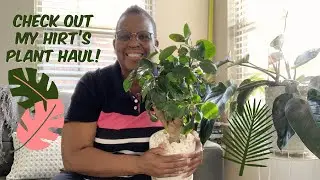 43: Plant Haul! | Plant Mail | Post Unboxing | Hirt&rsquo;s Garden🍃🌱🌿