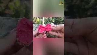 Rose Coconut Laddu Recipe | How To Make Indian Sweet At Home | #shorts | #shortvideo | #laddu