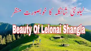 Beauty of shangla bahadar sar lelonai