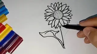 How to draw sun flower   Drawing color pages tutorials