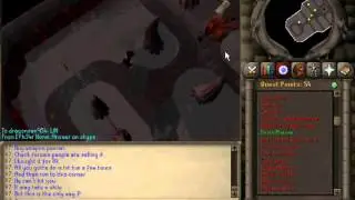 Shadow Of The Storm Pure Guide For Old School Runescape(2007 Server)