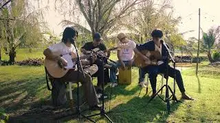 My Cat and You - Everything Is Nothing (Acoustic Session)