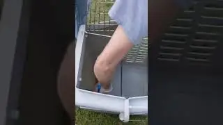 How to clean travel crates 4