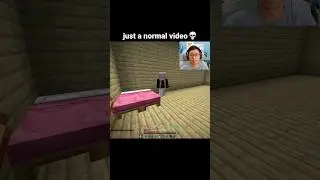 Minecraft Girl Moment