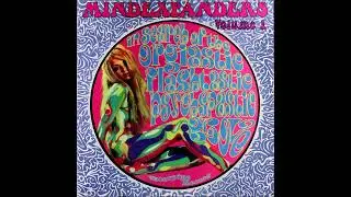 Mindexpanders Volume 1 (In Search Of The Orgiastic Flashtastic Psychspastic Groove)