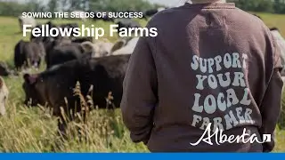 Sowing the seeds of success: Farm-to-table beef producers