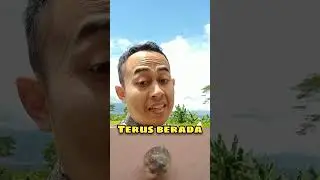 UNIK‼️Perkembangbiakan ikan killifish #ikanhias #akuarium #viral