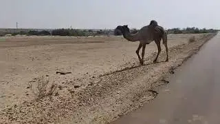 Kuldhara A Haunted Village Real Story Bhoot