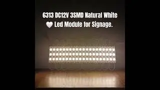 6313 DC12V 3SMD Natural White Led Module for Signage.