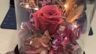 Preserved Rose in Glass Dome | $50