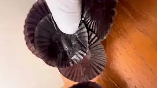 ASMR Paper Candy Wrappers • 3 Minutes • No Talking