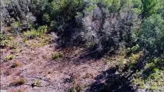 Dog Hunting Deer, Watching the Dogs Work, DJI Phantom 4 pro drone