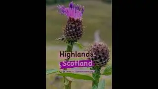 Highlands, Scotland. #highland #scotish #scotishhighlands