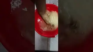 Rice ASMR | feel good | relax #rice #asmr #asmrsounds #satisfying