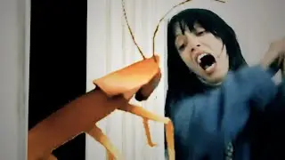 Here is Dancing Cockroach!